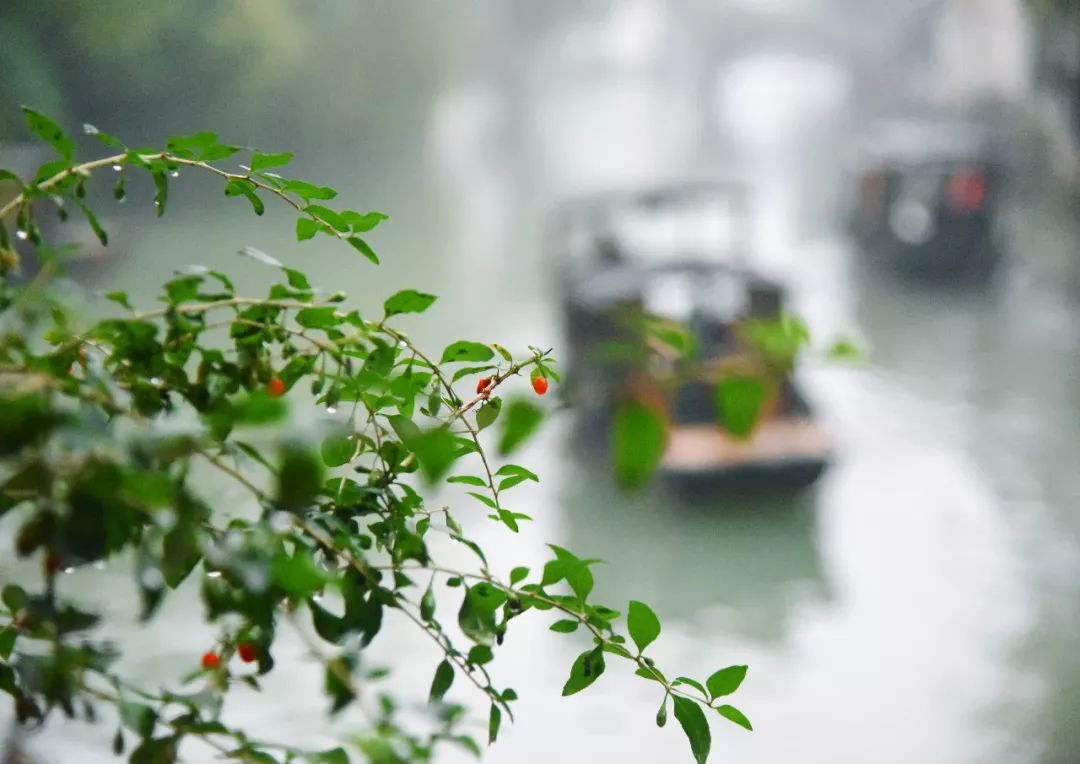 江南是如何炼成的？