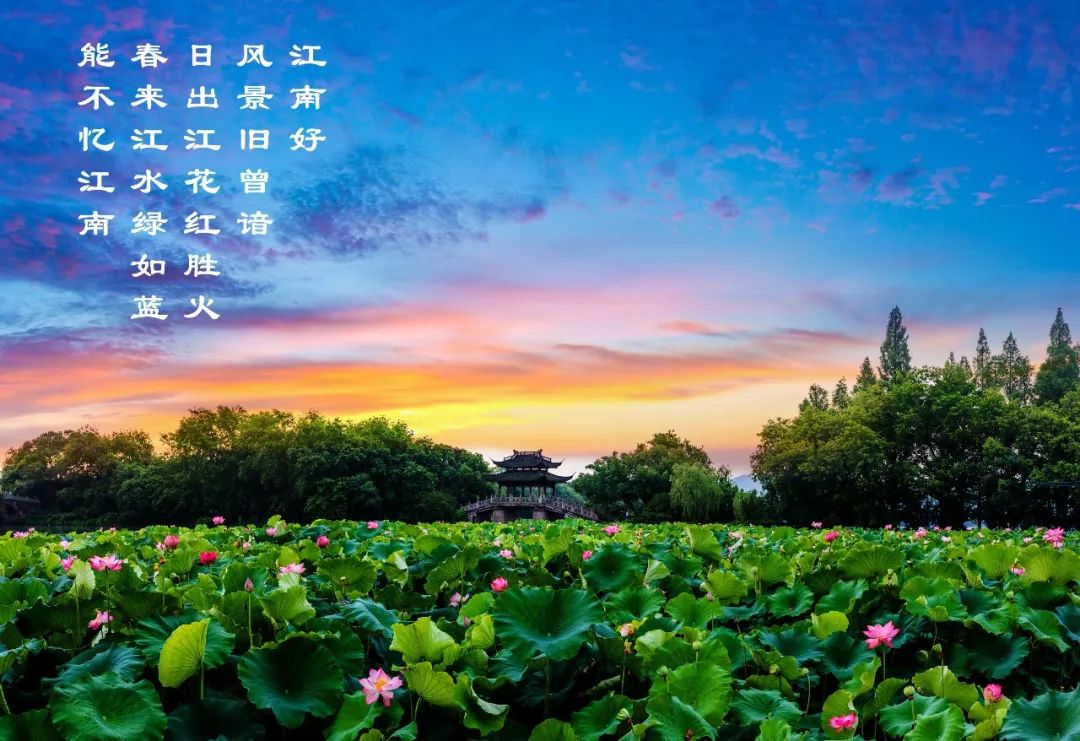 江南是如何炼成的？