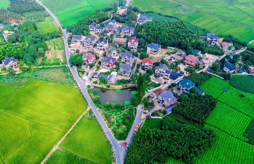 江南是如何炼成的？