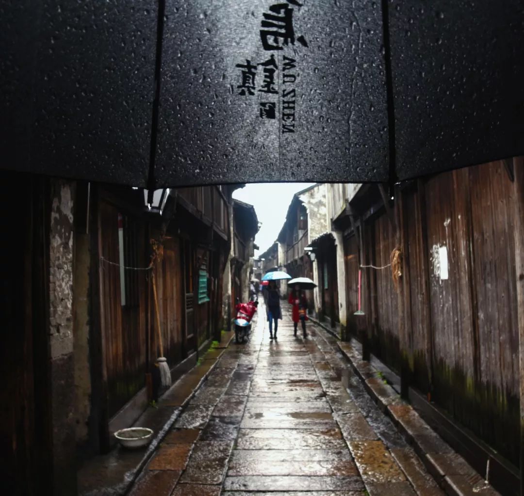 江南是如何炼成的？