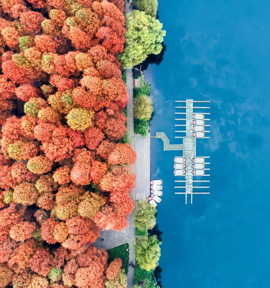 江南是如何炼成的？