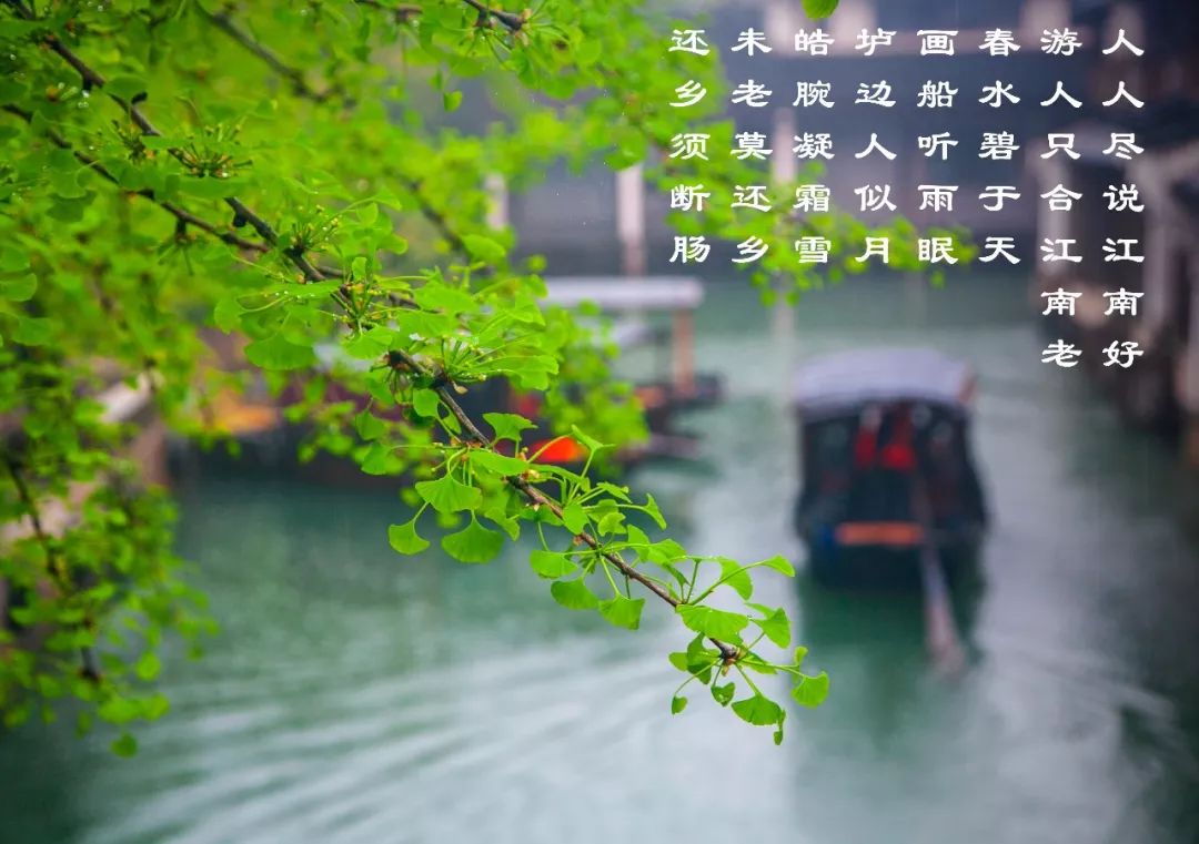 江南是如何炼成的？